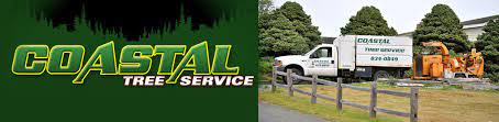 Maybe you would like to learn more about one of these? Home Coastal Tree Service