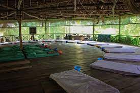 Pin By Adriana On Vision Board 2013 Iquitos Retreats Ayahuasca