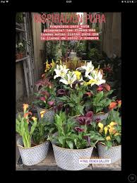 Pin De Lau Ferrarini En Exterior Flores Mas Lindas Flores Primavera