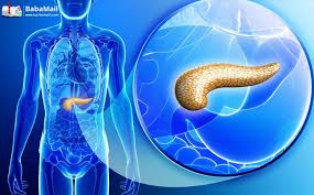 Biology, quite simply, is the science of life. Quiz How Good Is Your Human Biology Knowledge Science Quizzes Quizzes