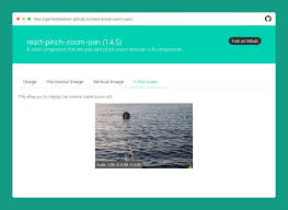 10 Awesome React Zoom Image Components Bashooka