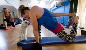 Maybe you would like to learn more about one of these? Marijuana And Yoga Pairing Up In Classes The New York Times