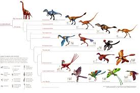 Palaeos Vertebrates Coelurosauria Overview