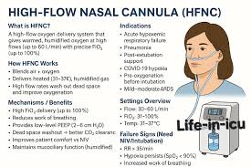 Image result for Moderate Flow Oxygen