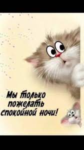 Прикольные Картинки Спокойной Ночи | TikTok