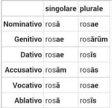 Declinazioni Latine Foreign Language Flashcards Cram Com