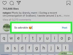 Houston, no more problems with instagram activity! How To Comment And Delete Comments On Instagram Photos 10 Steps