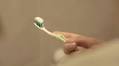 Protein Innovation: New Dental Repair Solutions on the Horizon