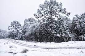 Jun 30, 2021 · o frio sentido nos últimos dias no brasil, especialmente nas regiões sul e sudeste, devem continuar nos próximos dias. Egmhbhqfgu5ghm