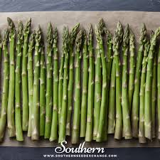 Image result for Asparagus psilurus