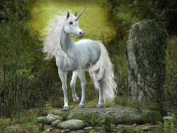 Exploring the Magic of UnicornDelight88: A Deep Dive into Enchantment