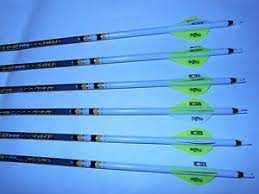 Get techxpert advice online from our archery experts. 6 Gold Tip Hunter Pro 300 Carbon Arrows Custom White Dip Crest Blazer Vane Ebay