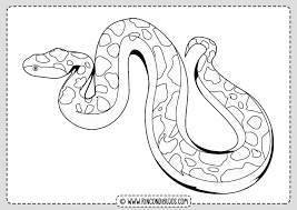 Dibujo Serpiente Para Colorear