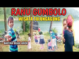 Jika di tengger semeru terdapat ranu kumbolo maka di tulungagung terdapat ranu gumbolo. Wisata Ranu Gumbolo Tulungagung Youtube