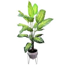 18 silver aglaonema artificial plant in decorative planter (real touch) $93.99. 6 Ft Real Touch Tropical Plant At Home