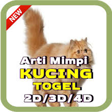 Mimpi melihat kucing membunuh ular artinya masalah agan tuntas. Arti Mimpi Kucing Togel 2d 3d 4d Edisi Terlengkap App Su Google Play