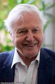 Sir David Attenborough says Netflix series Our Planet is the most important  he's ever made