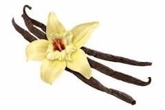 Relax Cosméticos Naturais - Benefícios da Baunilha