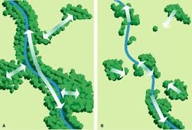Conservation Corridor Corridor Science Conservation Corridor Green Corridor Nature Conservation Corridor Design