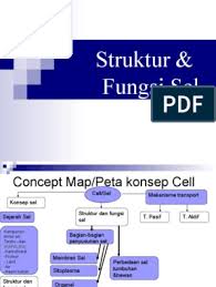 Maybe you would like to learn more about one of these? Peta Konsep Struktur Dan Fungsi Membran