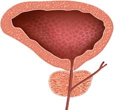 Comanda online tratamente eficiente pentru prostata marita ✅ medicamente sigure, cu efect rapid, la numai un click distanta ⭐promotii in fiecare zi. Prostamol Uno