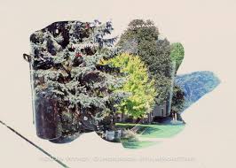 There's just something so fascinating and satisfying about combining 2 (or more) images together to create interesting compositions. Double Exposures On Film Film Road Trip