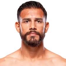 UFC Upcoming Fight Event Odds