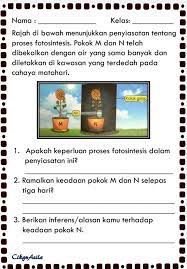 Tumbuhan, berbeda dengan jenis organisme lainnya. Bijak Sains Sr Sains Tahun 4 Unit 4 Tumbuh Tumbuhan Facebook