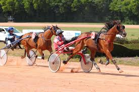 Trois Questions à... Marcus Melander