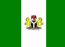 Image result for nigeria flag pictures