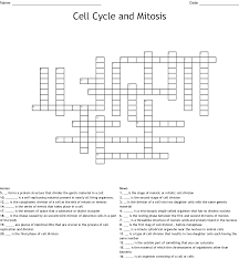 Chromosomes condense, nuclear membrane dissolves. Mitosis Meiosis Vocabulary Quiz Crossword Wordmint