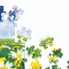 Starting a jigsaw puzzle business is similar to creating any small business, starting with a plan and a unique marketing angle. Dumbbells For The Brain Health Wellness Colorado