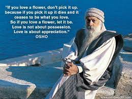 Pin On Osho