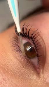 Rosina Rocha (rosinarocha55)