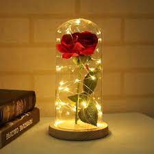 (chant) histoire éternelle, qu'on ne croit jamais, de deux inconnus, qu'un geste imprévu, rapproche en secret. Rose Eternelle Fleur La Belle Et La Bete Lampe En Forme De Rose Lumieres Led Base Pour Saint Valentin Fete Anniversaire Mariage Cdiscount Maison