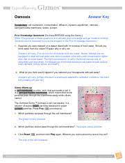 Maybe you would like to learn more about one of these? Concnetration Gizmo Ans Osmosis Answer Key Vocabulary Cell Membrane Concentration Diffusion Dynamic Equilibrium Osmosis Semipermeable Membrane Course Hero