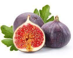 d un qui ne pele pas figue christian satge plume de poete figues coloriage fruits dessin oiseau kiei