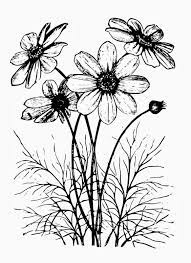 Supercoloring.com is a super fun for all ages: Cosmo Flower Freebie Flower Drawing Flower Sketches Floral Drawing