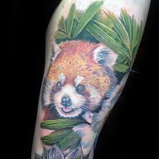 60 red panda tattoo designs fur manner animal ink ideen mann stil tattoo tier tattoo kleiner panda panda
