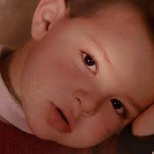 Dylan Wessel's Instagram, Twitter & Facebook