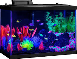 Best Glofish Tanks Reviews 5 10 15 20 Gallon Aquarium Tanks Glofish Tank Cool Fish Tanks Fish Tank Themes