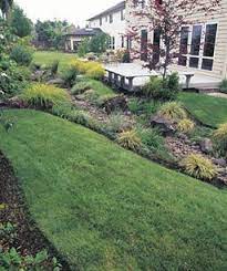 By the end of 2004, the 250,000 mu of barren sand and alkali beaches shi had been working on had seen a grass and forest coverage of over 90 percent, reflecting effective management. Transforming A Barren Backyard Finegardening Backyard Landscaping Landscaping Berms Landscape Design