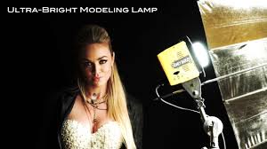 Interfit Honey Badger 320ws 2 Light Kit Hb3202k1 B H Photo Video