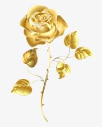 Yellow rose and cabbage rose flower png botanical illustration, remixed from artworks by pink cabbage rose pattern on a gold frame design element. Gold Flower Png Images Free Transparent Gold Flower Download Kindpng