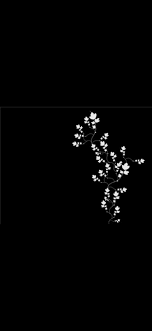 لعشاق اللون الاسود صور خلفيات سوداء كلل شيء اسود القصةالقصيرة القصة القصيرة Amreadin Overlays Instagram Black Background Wallpaper Photo Overlays