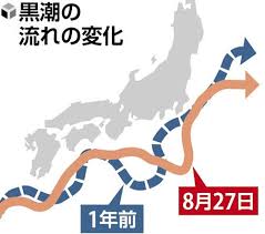 Yahoo!ニュース - News update