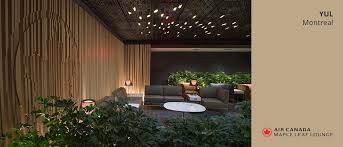 Unlimited access to air canada maple leaf lounge. Air Canada Signature Class Cabin