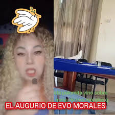 Interpretaciones de políticos referente a los "augurios" sobre la ofenda y  esta ave que estuvo en Lauca Ñ., #miscelaneosmagazine