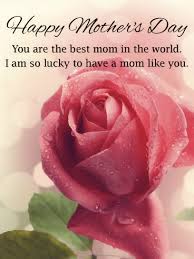 You can shower your mother with gifts, give her a call to check in, and thank her for being your mom. Pink Rose Happy Mother S Day Card Birthday Greeting Cards By Davia