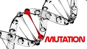 10 Unusual Genetic Mutations In Humans Genetic Mutation Genetics Biology